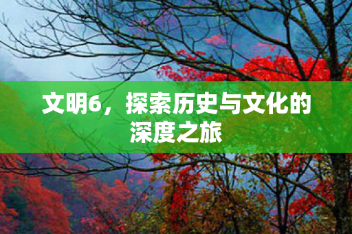 文明6，探索历史与文化的深度之旅