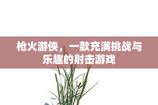 枪火游侠，一款充满挑战与乐趣的射击游戏