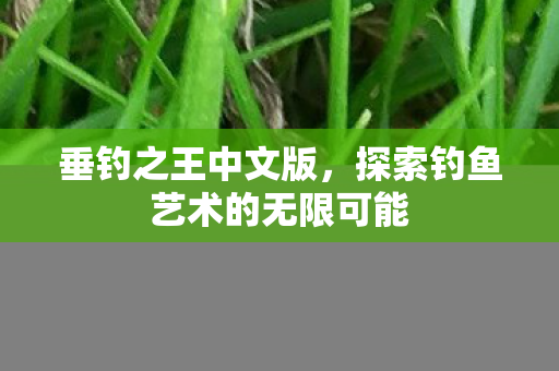 垂钓之王中文版，探索钓鱼艺术的无限可能