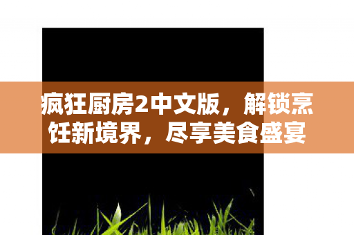 疯狂厨房2中文版，解锁烹饪新境界，尽享美食盛宴