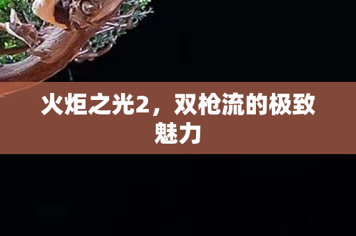 火炬之光2，双枪流的极致魅力