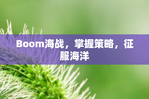 Boom海战，掌握策略，征服海洋