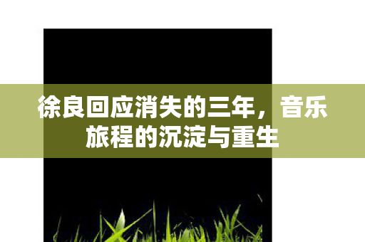 徐良回应消失的三年，音乐旅程的沉淀与重生