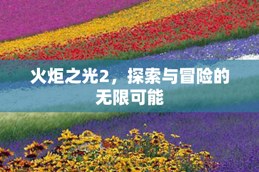 火炬之光2，探索与冒险的无限可能