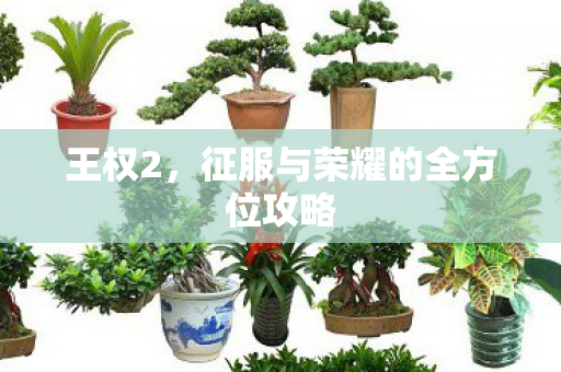 王权2，征服与荣耀的全方位攻略