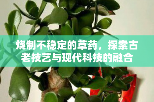 烧制不稳定的草药,探索古老技艺与现代科技的融合 烧制不稳定的草药,探索古老技艺与现代科技的融合