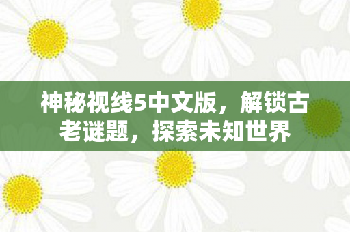 神秘视线5中文版，解锁古老谜题，探索未知世界