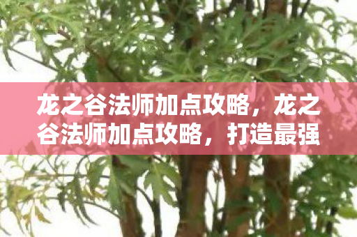 龙之谷法师加点攻略，龙之谷法师加点攻略，打造最强法师阵容