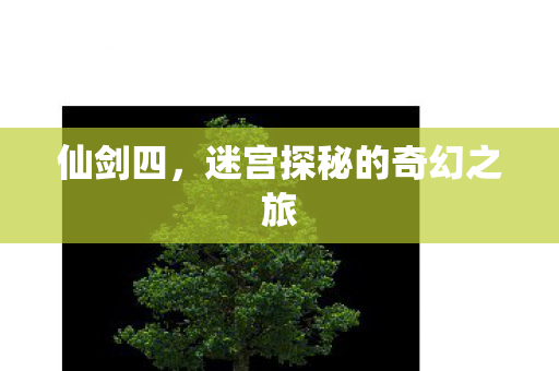 仙剑四，迷宫探秘的奇幻之旅