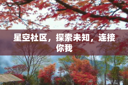 星空社区，探索未知，连接你我