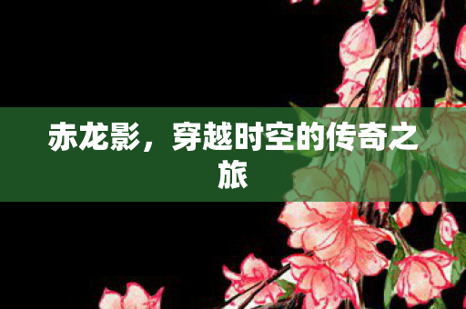 赤龙影，穿越时空的传奇之旅