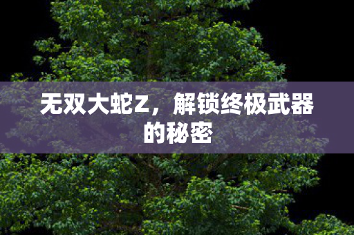 无双大蛇Z，解锁终极武器的秘密