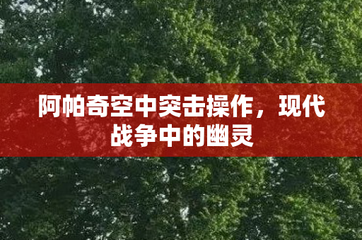 阿帕奇空中突击操作，现代战争中的幽灵