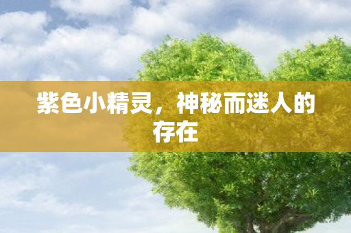 紫色小精灵，神秘而迷人的存在