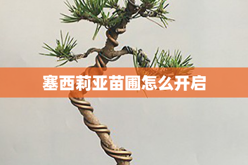 塞西莉亚苗圃怎么开启