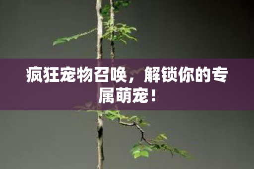 疯狂宠物召唤，解锁你的专属萌宠！