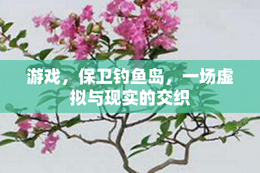 游戏，保卫钓鱼岛，一场虚拟与现实的交织