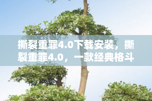 撕裂重罪4.0下载安装，撕裂重罪4.0，一款经典格斗游戏的数字重生