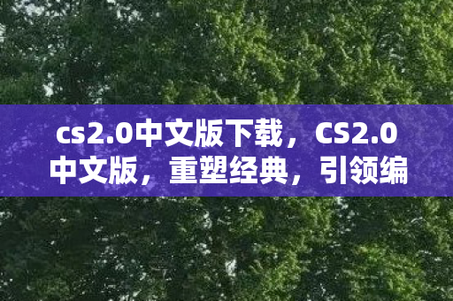 cs2.0中文版下载，CS2.0中文版，重塑经典，引领编程教育新风尚