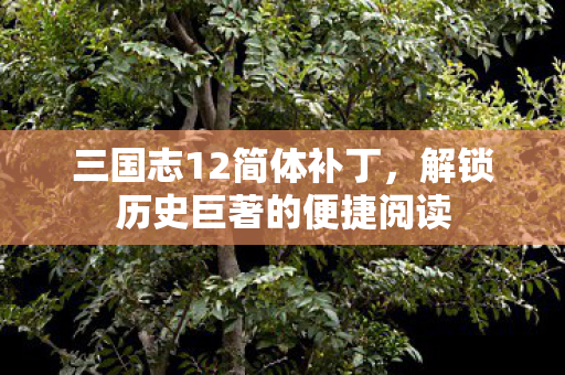 三国志12简体补丁，解锁历史巨著的便捷阅读