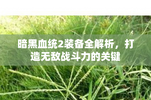 暗黑血统2装备全解析，打造无敌战斗力的关键