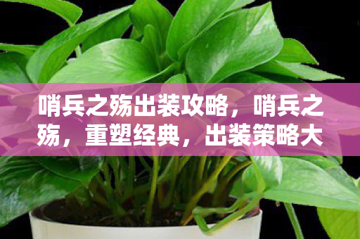 哨兵之殇出装攻略,哨兵之殇,重塑经典,出装策略大揭秘 哨兵之殇出装攻略,哨兵之殇,重塑经典,出装策略大揭秘