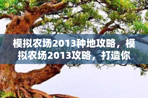 模拟农场2013种地攻略，模拟农场2013攻略，打造你的梦幻农场
