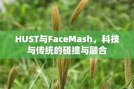 HUST与FaceMash,科技与传统的碰撞与融合 HUST与FaceMash,科技与传统的碰撞与融合
