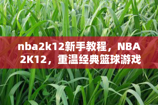 nba2k12新手教程，NBA 2K12，重温经典篮球游戏的玩法指南