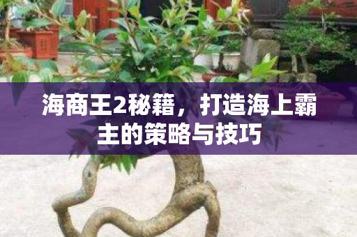 海商王2秘籍，打造海上霸主的策略与技巧