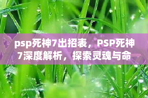 psp死神7出招表，PSP死神7深度解析，探索灵魂与命运的交织