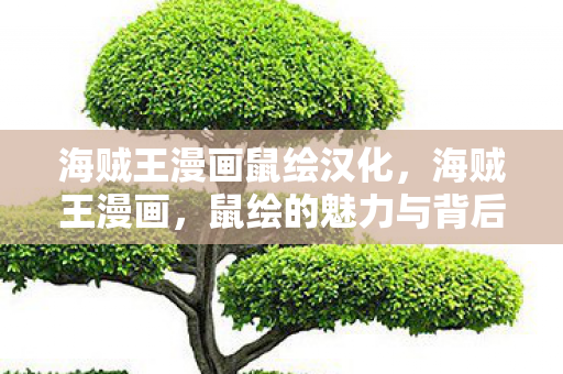 海贼王漫画鼠绘汉化，海贼王漫画，鼠绘的魅力与背后的故事