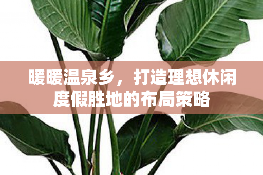 暖暖温泉乡，打造理想休闲度假胜地的布局策略