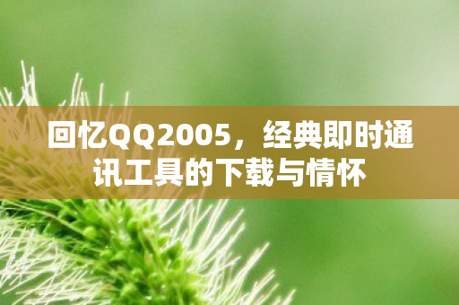回忆QQ2005，经典即时通讯工具的下载与情怀