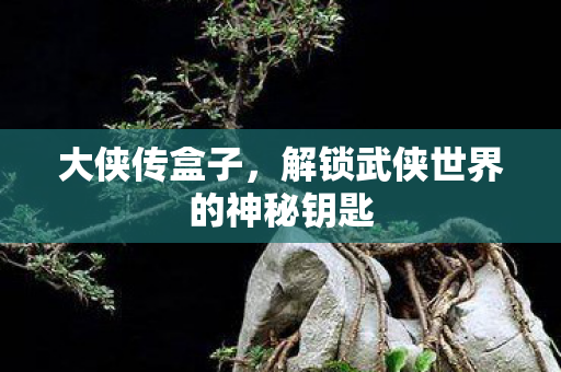 大侠传盒子,解锁武侠世界的神秘钥匙 大侠传盒子,解锁武侠世界的神秘钥匙
