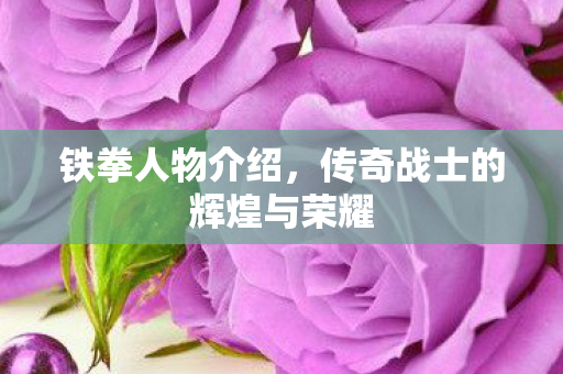 铁拳人物介绍，传奇战士的辉煌与荣耀