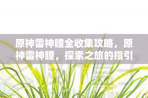 原神雷神瞳全收集攻略，原神雷神瞳，探索之旅的指引之光