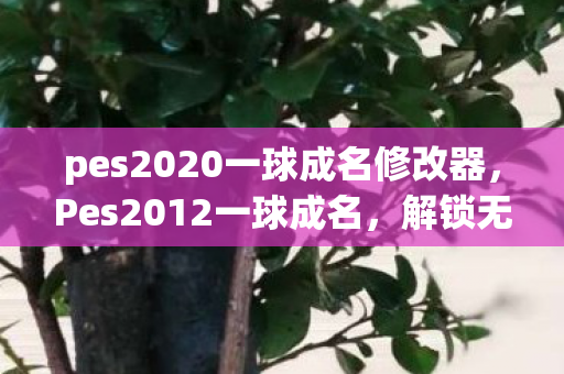 pes2020一球成名修改器，Pes2012一球成名，解锁无限可能的修改器