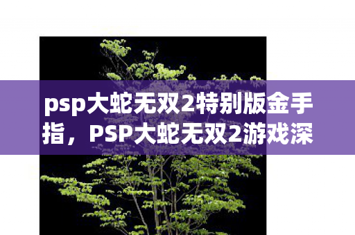 psp大蛇无双2特别版金手指，PSP大蛇无双2游戏深度解析，经典续作的魅力与挑战