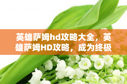英雄萨姆hd攻略大全，英雄萨姆HD攻略，成为终极战士的秘诀