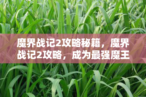 魔界战记2攻略秘籍，魔界战记2攻略，成为最强魔王的全面指南