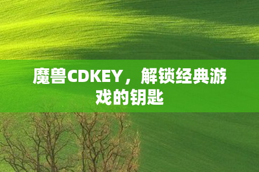 魔兽CDKEY，解锁经典游戏的钥匙