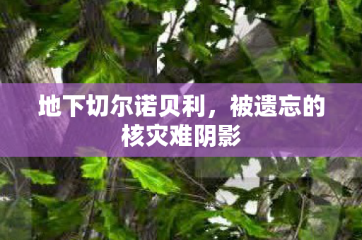 地下切尔诺贝利，被遗忘的核灾难阴影
