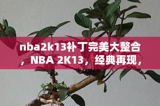 nba2k13补丁完美大整合，NBA 2K13，经典再现，补丁打造完美体验