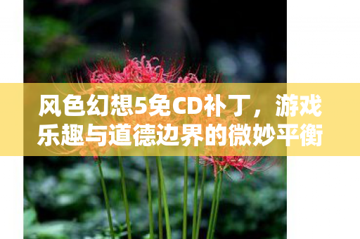 风色幻想5免CD补丁，游戏乐趣与道德边界的微妙平衡