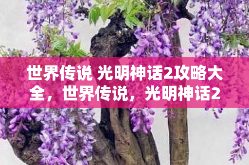 世界传说 光明神话2攻略大全，世界传说，光明神话2攻略