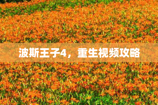 波斯王子4，重生视频攻略