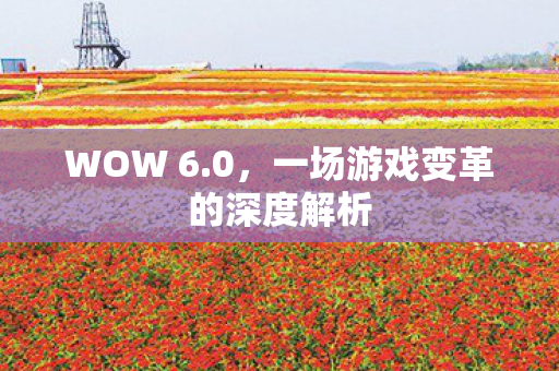 WOW 6.0，一场游戏变革的深度解析