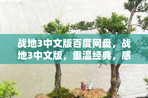 战地3中文版百度网盘,战地3中文版,重温经典,感受战争的残酷与荣耀 战地3中文版百度网盘,战地3中文版,重温经典,感受战争的残酷与荣耀