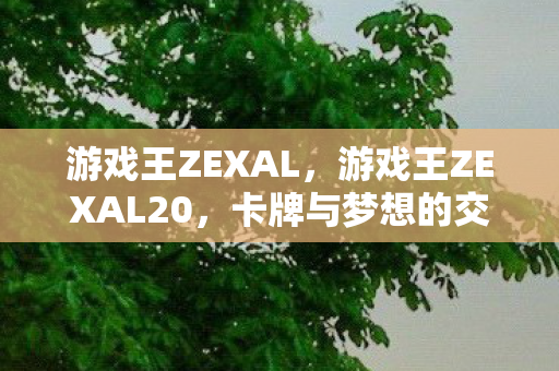 游戏王ZEXAL,游戏王ZEXAL20,卡牌与梦想的交响曲 游戏王ZEXAL,游戏王ZEXAL20,卡牌与梦想的交响曲